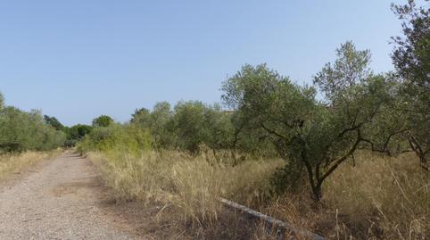 Photo 5 of Residential for sale in Carrer de Les Liles, Migjorn, Tarragona