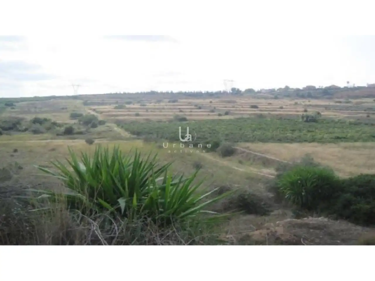 Terreno rústico en venta en Sector VERTXI XXI POLIGONO 7, imagen 7