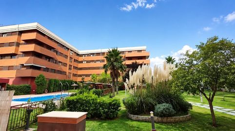 Photo 4 of Flat for rent in Avenida de la Ilustracion, Campus de la Salud, Granada Capital
