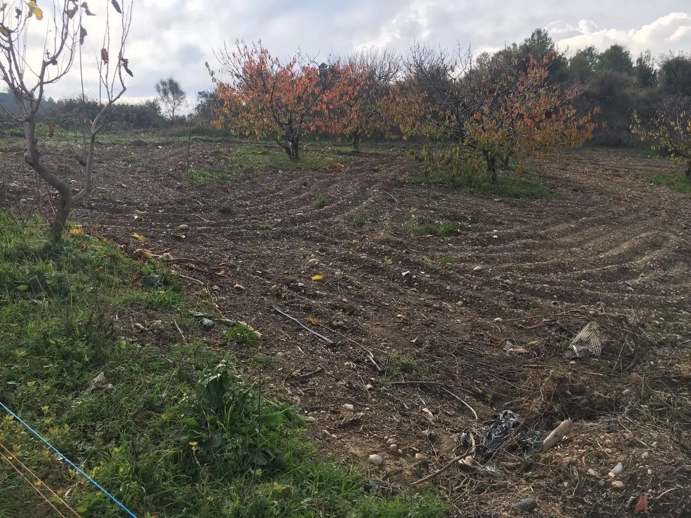 Rustikales Grundstück zum Verkauf in Ullastrell, imagen 2