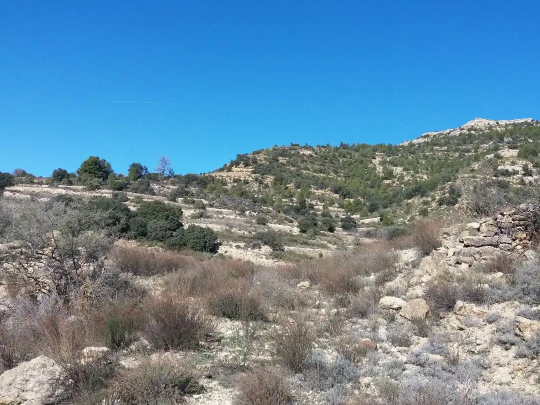 Terreno en venta en Todolella