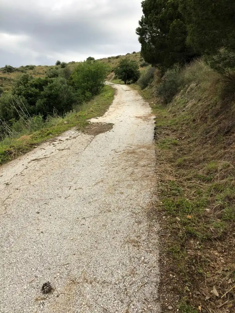 Terreni e lotti in vendita a PArcela 166 las chapas 0, imagen 5