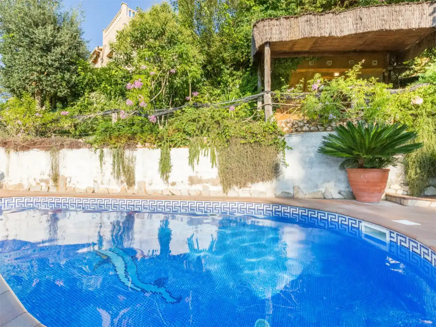 Piscina de Casa o chalet en venta en Lloret de Mar con Jardín privado, Piscina y Amueblado