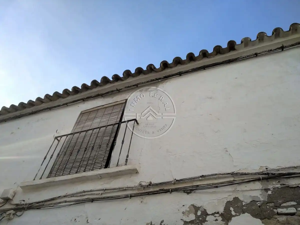 Vista exterior de Casa o xalet en venda en Écija amb Terrassa