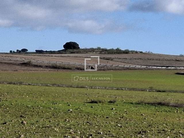 Terreno en Venta en Talamanca de Jarama