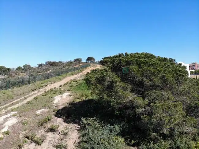Terreni e lotti in vendita a Sotogrande Alto, imagen 10