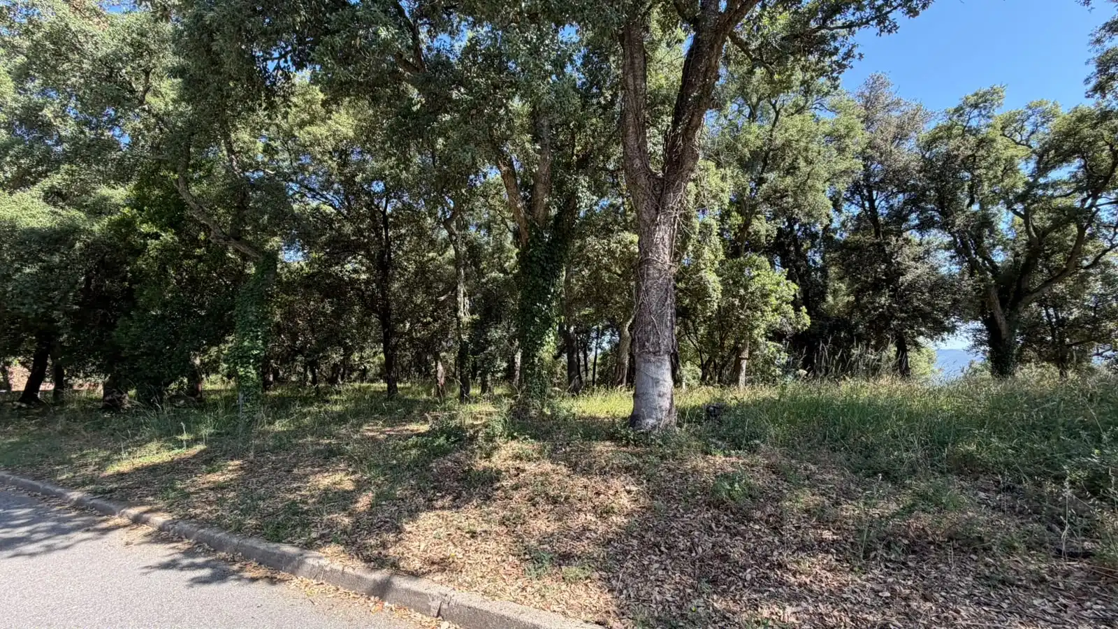 Terreno residencial en venta en Montsoriu Sortida 167, imagen 3
