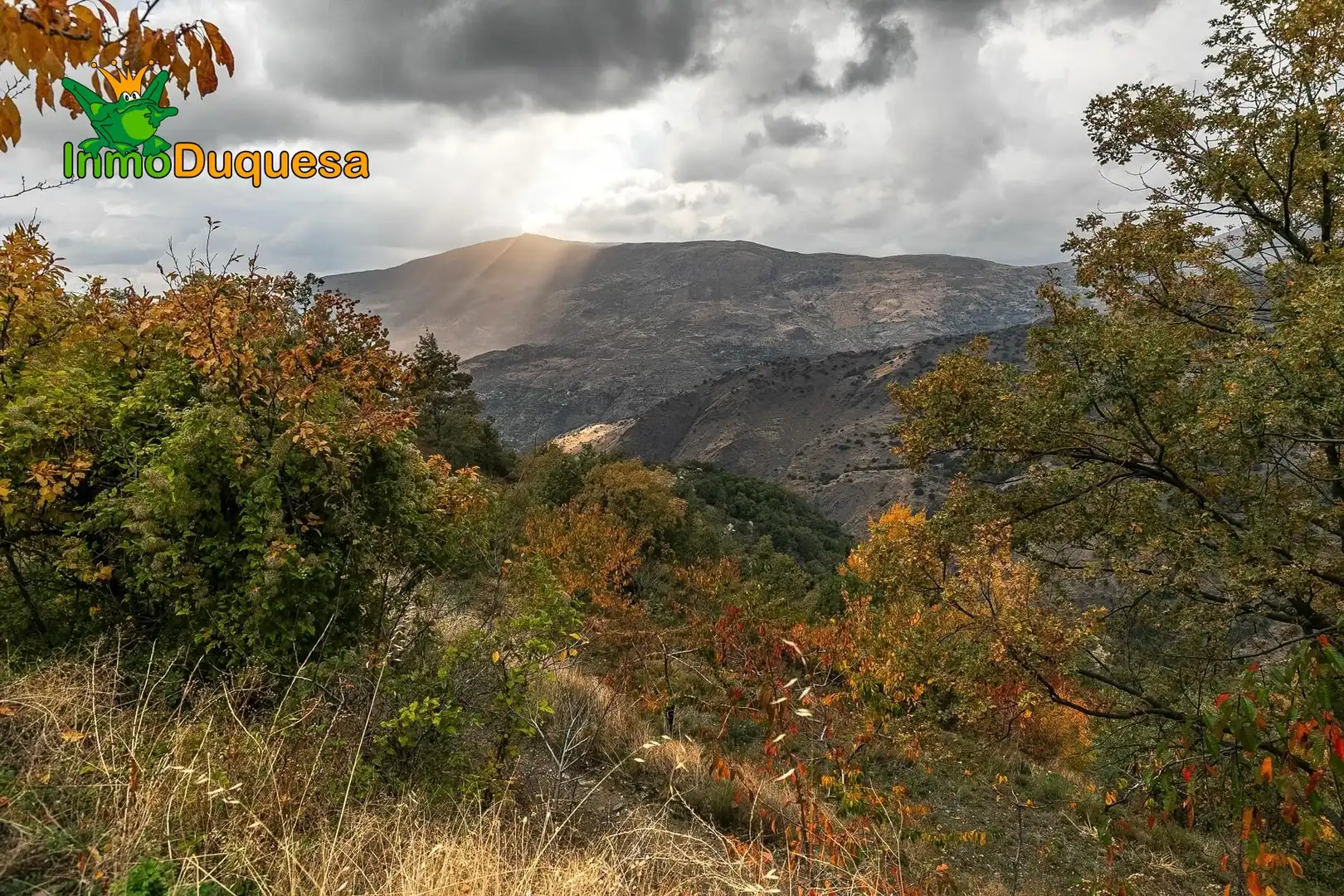 Casa rústica en venda a Güéjar Sierra, imagen 17