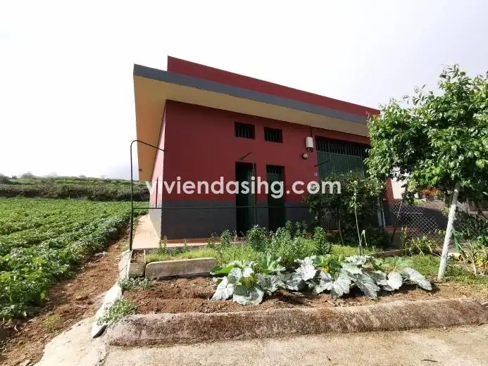 Terreno rustico in vendita a La Perdoma - San Antonio - Benijos, imagen 6