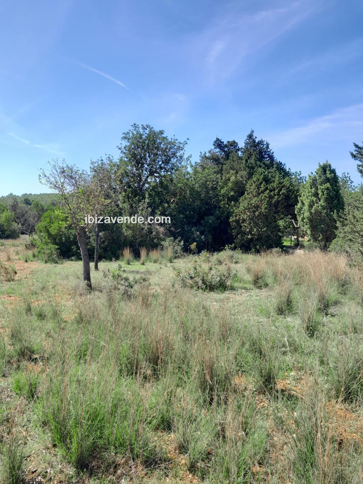 Land for sale in Es Canar, Sant Carles