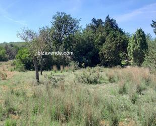 Land for sale in Es Canar, Sant Carles