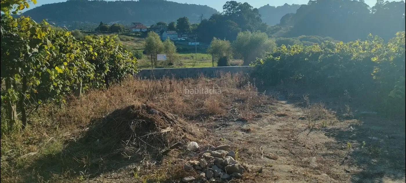 Terreno rustico in vendita a Poblado Carregal 9, imagen 11