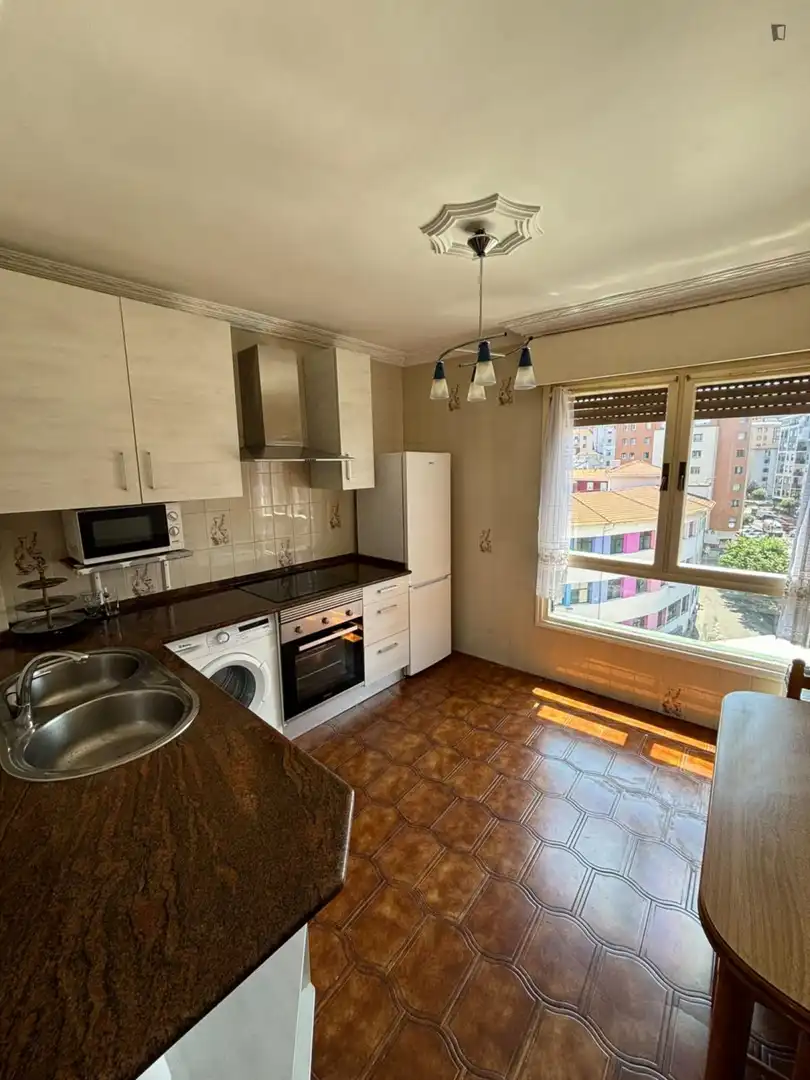 Kitchen of Apartments for share in Barakaldo   with Furnished, Oven and Washing machine