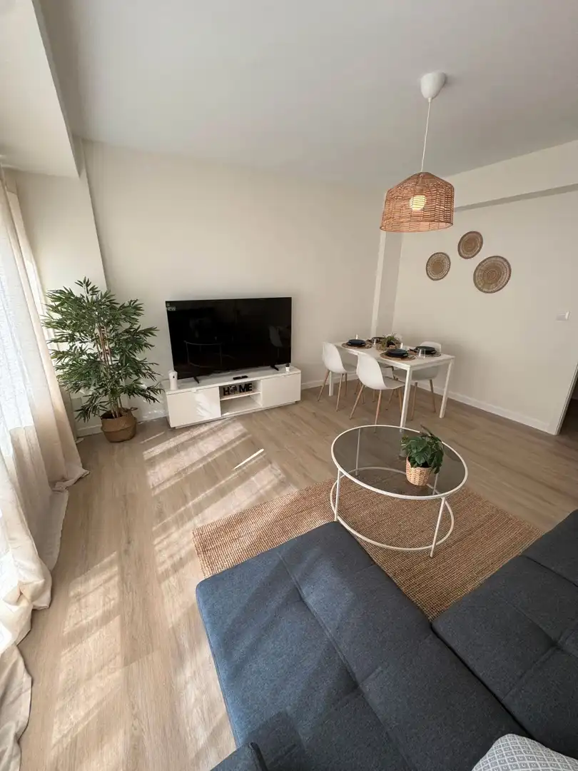 Living room of Flat for rent in Ferrol  with Heating, Parquet flooring and Furnished