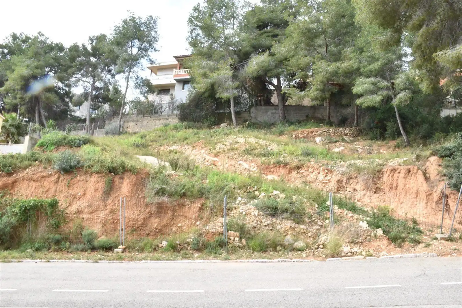Rural land for sale in GLADIOL, imagen 2