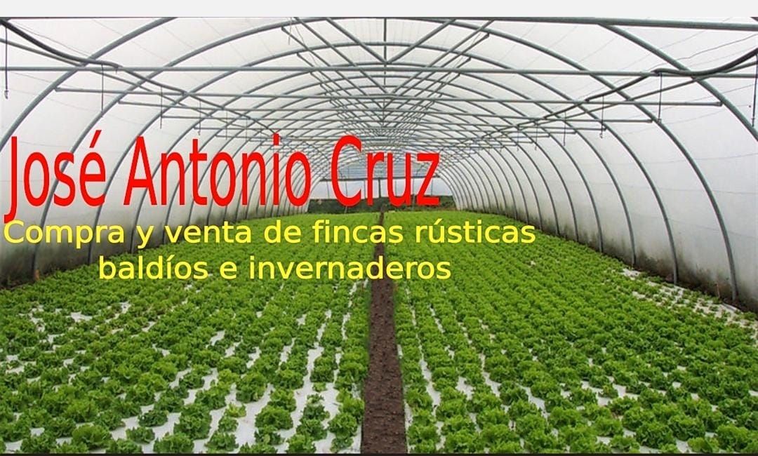 Terreny industrial en venda en El Ejido