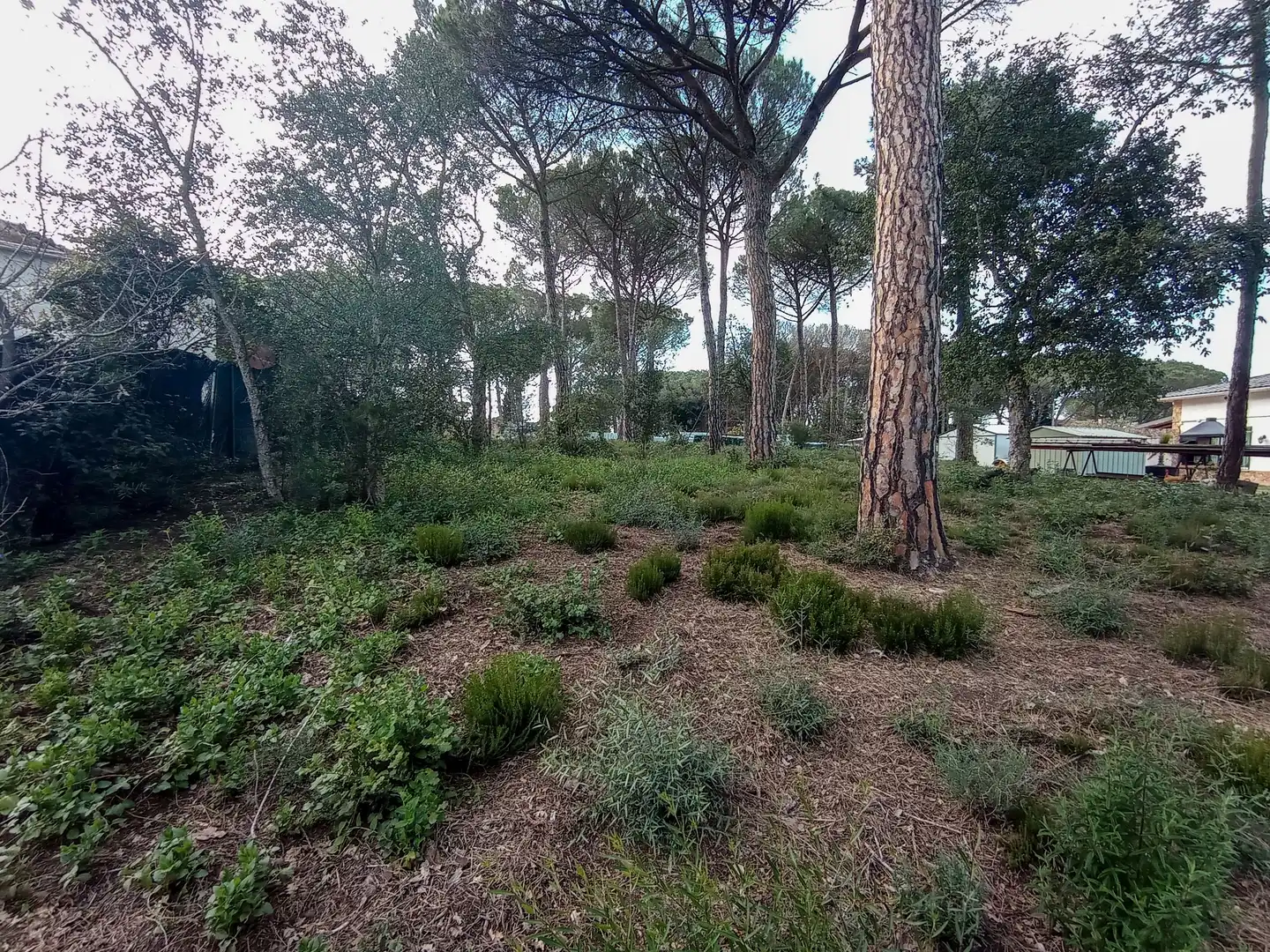 Terreny residencial en venda a Llagostera, imagen 5