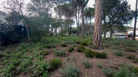 TERRENO CON POCA PENDIENTE EN LLAGOSTERA , immagine 5