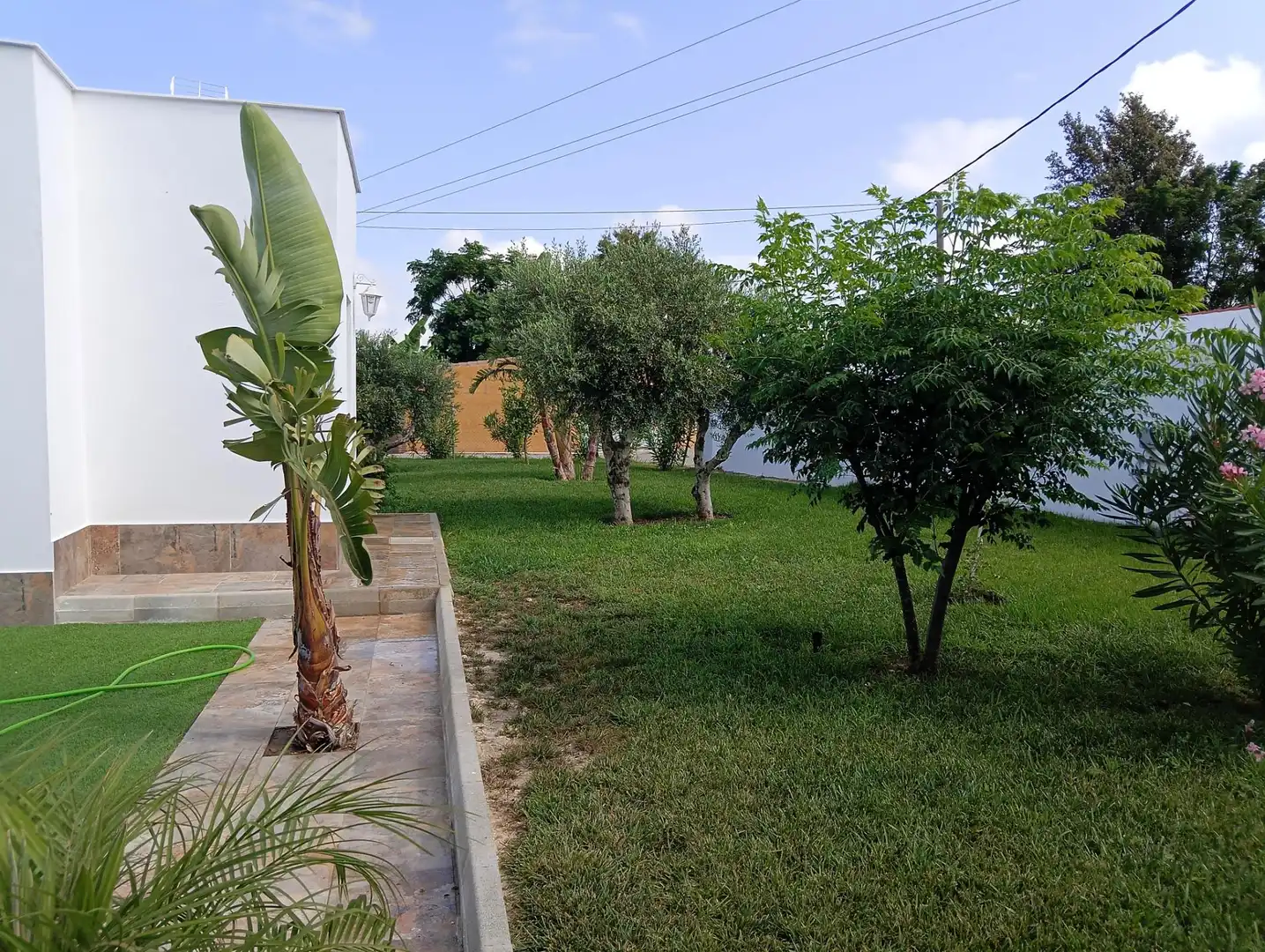 Jardí de Casa o xalet en venda en Conil de la Frontera