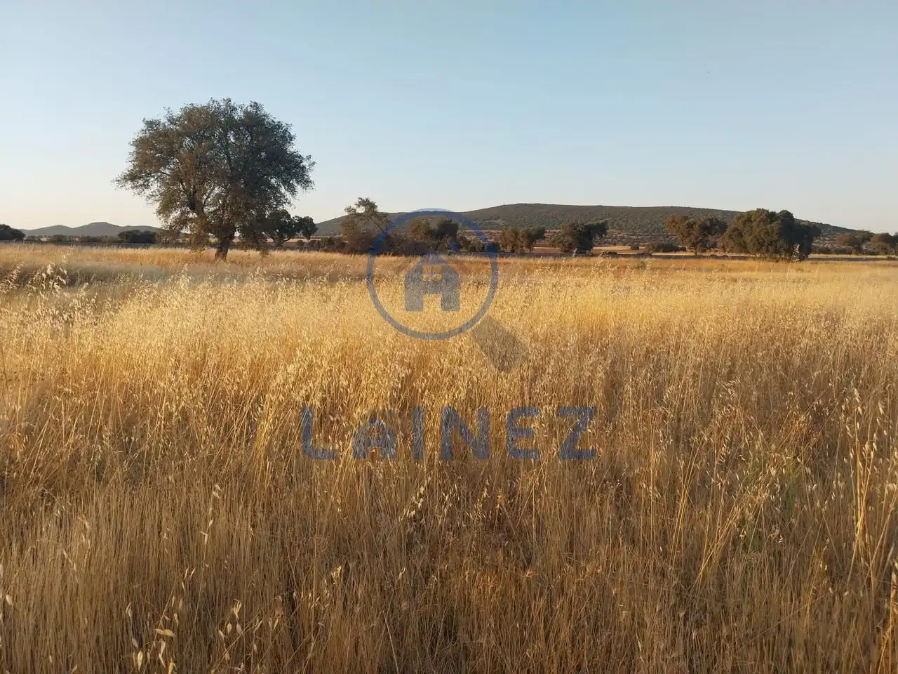 Terreno rustico in vendita a Valsequillo, imagen 4