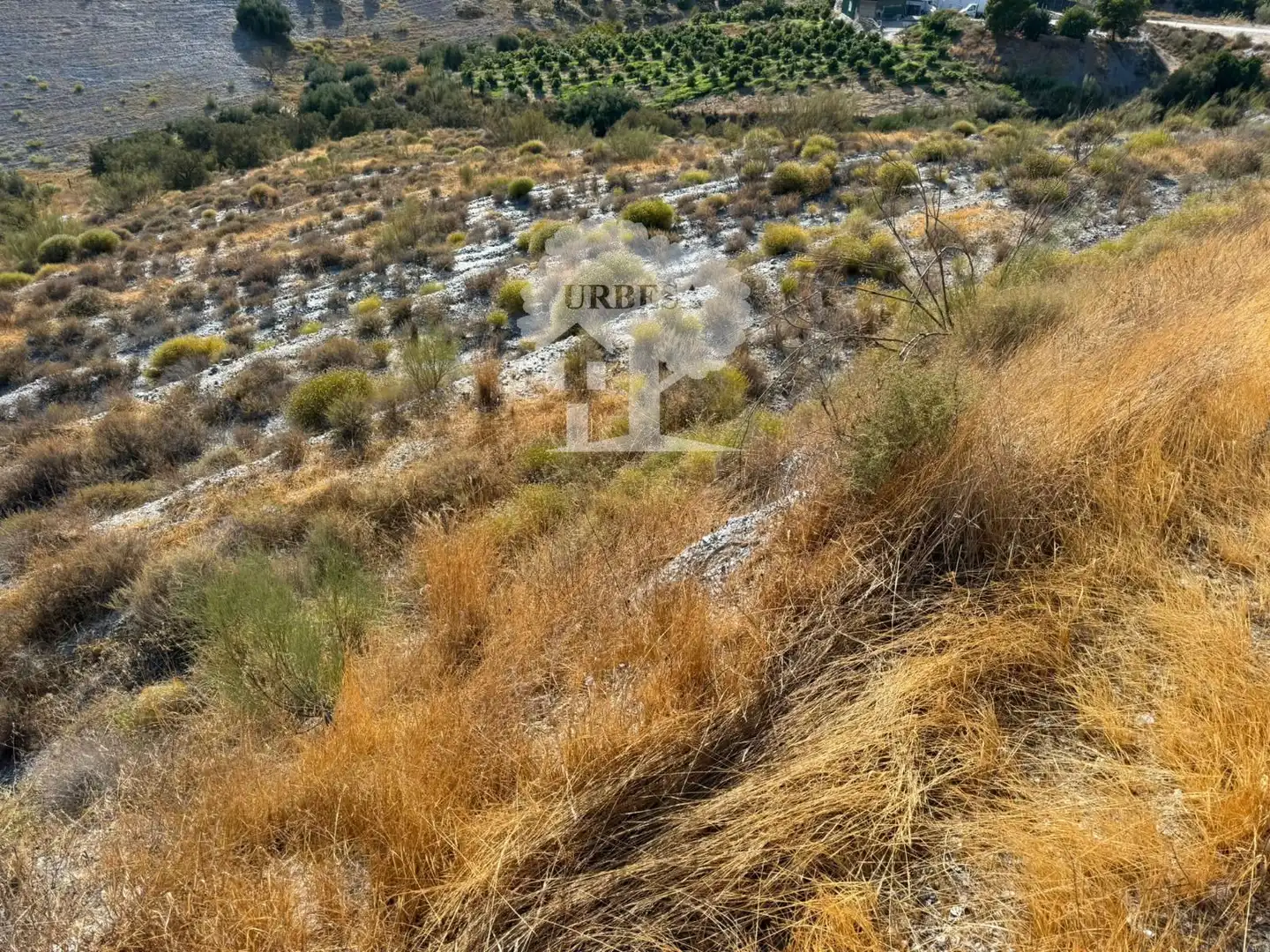 Grundstücke zum Verkauf in Vélez de Benaudalla