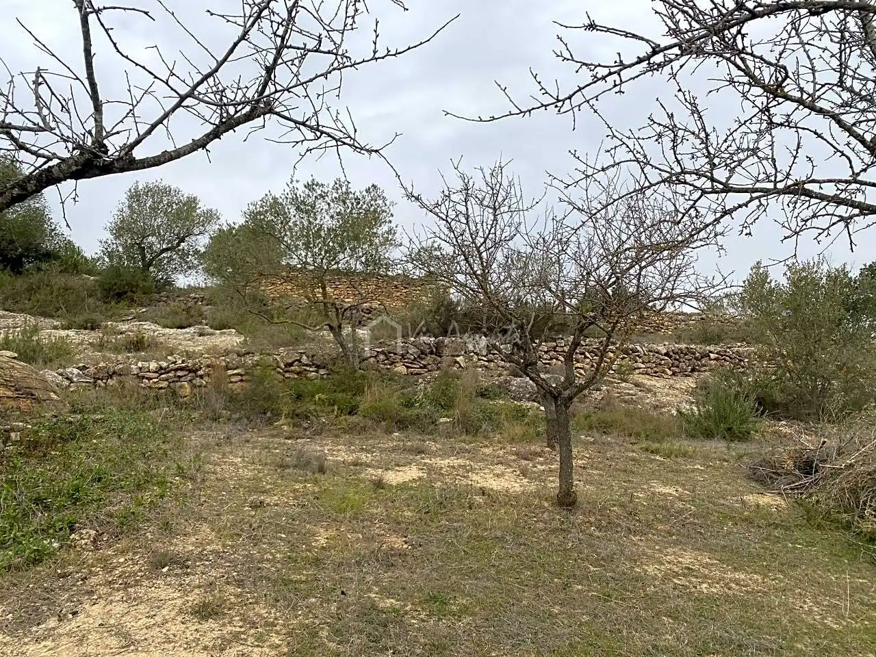 Terrain rustique à vendre à PLANELLES, imagen 27