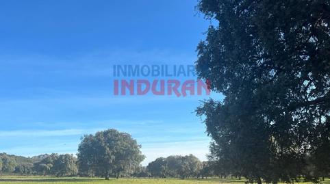 Photo 4 of House or chalet for sale in N/a, Deleitosa, Cáceres