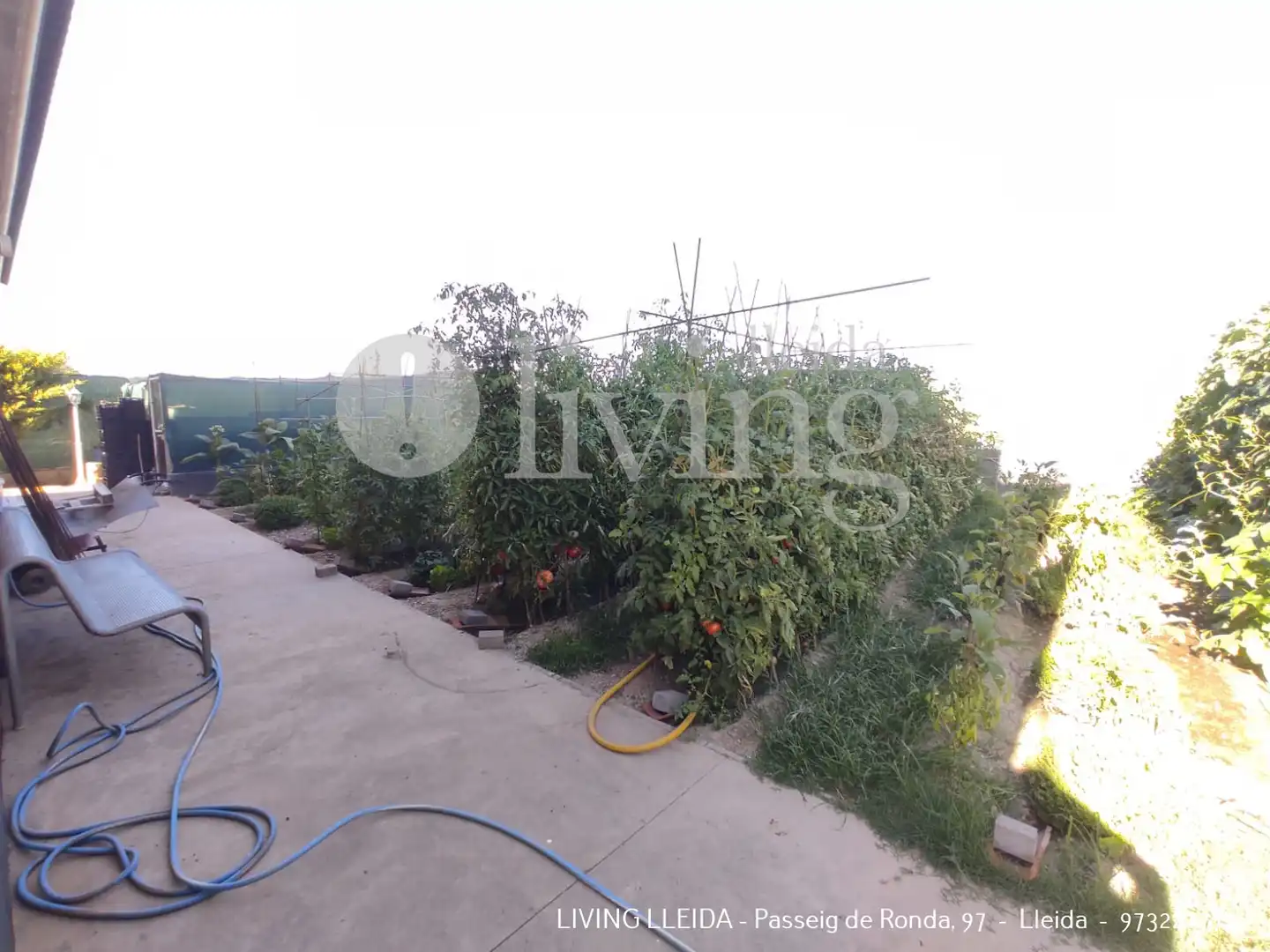 Garden of Houses for sale in Bell-lloc d'Urgell  with Heating, Private garden and Terrace
