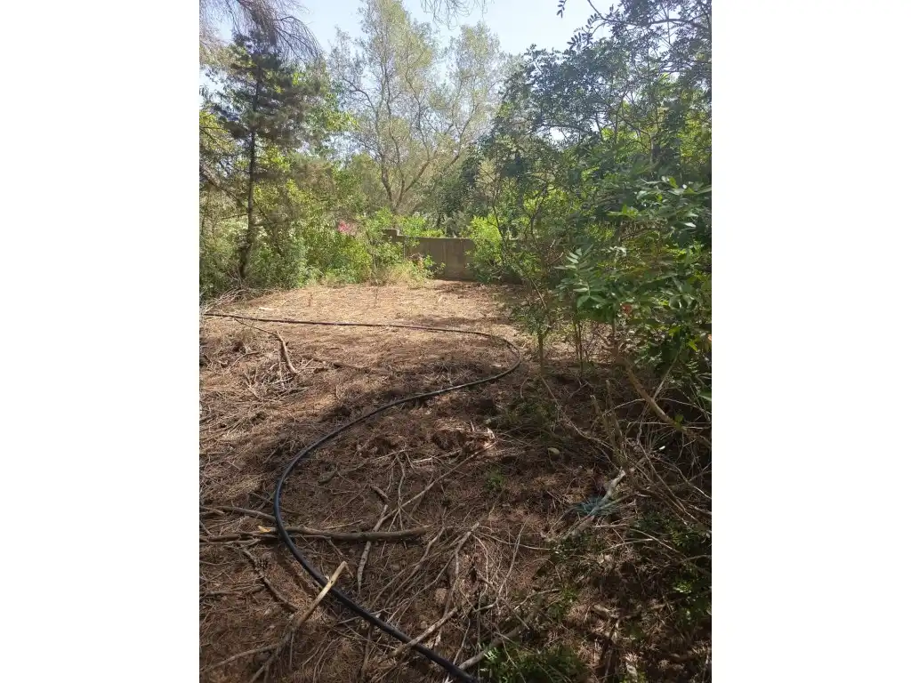 Terreno rustico in vendita a Diseminados Sector 4.5 Santa Agnes, imagen 9