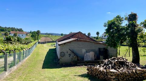 FINCA CON ALMACÉN EN TEO, immagine 5