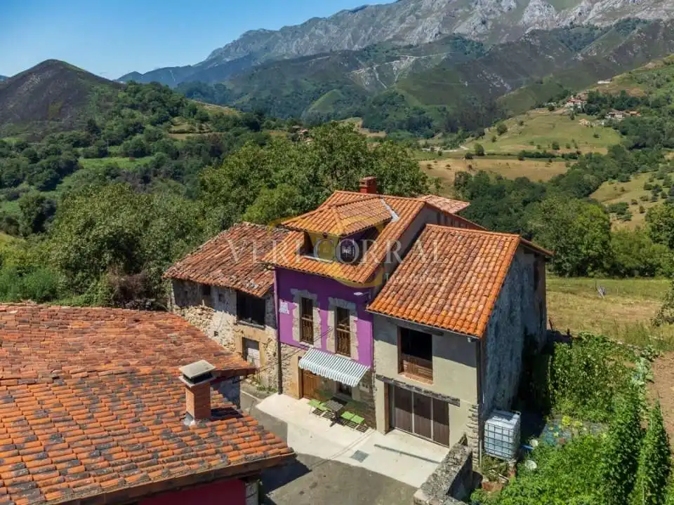 Vista exterior de Casa adosada en venda en Peñamellera Alta amb Calefacció