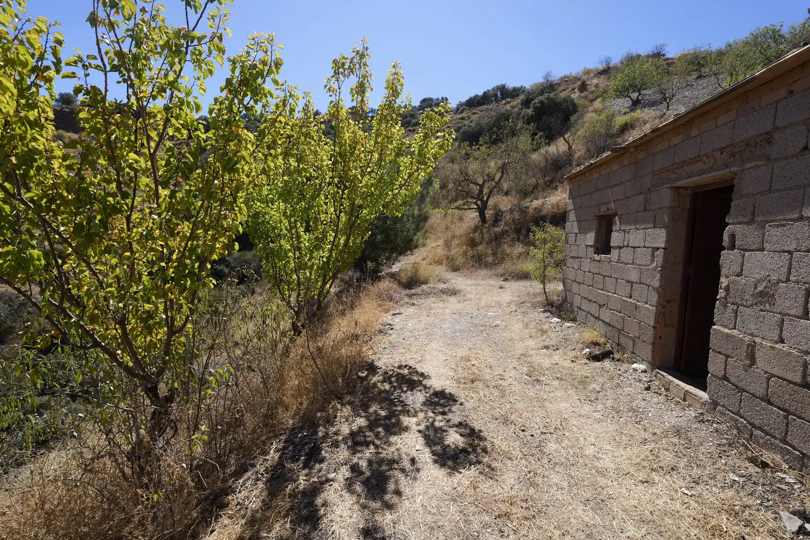 Finca rústica en venta en Cádiar