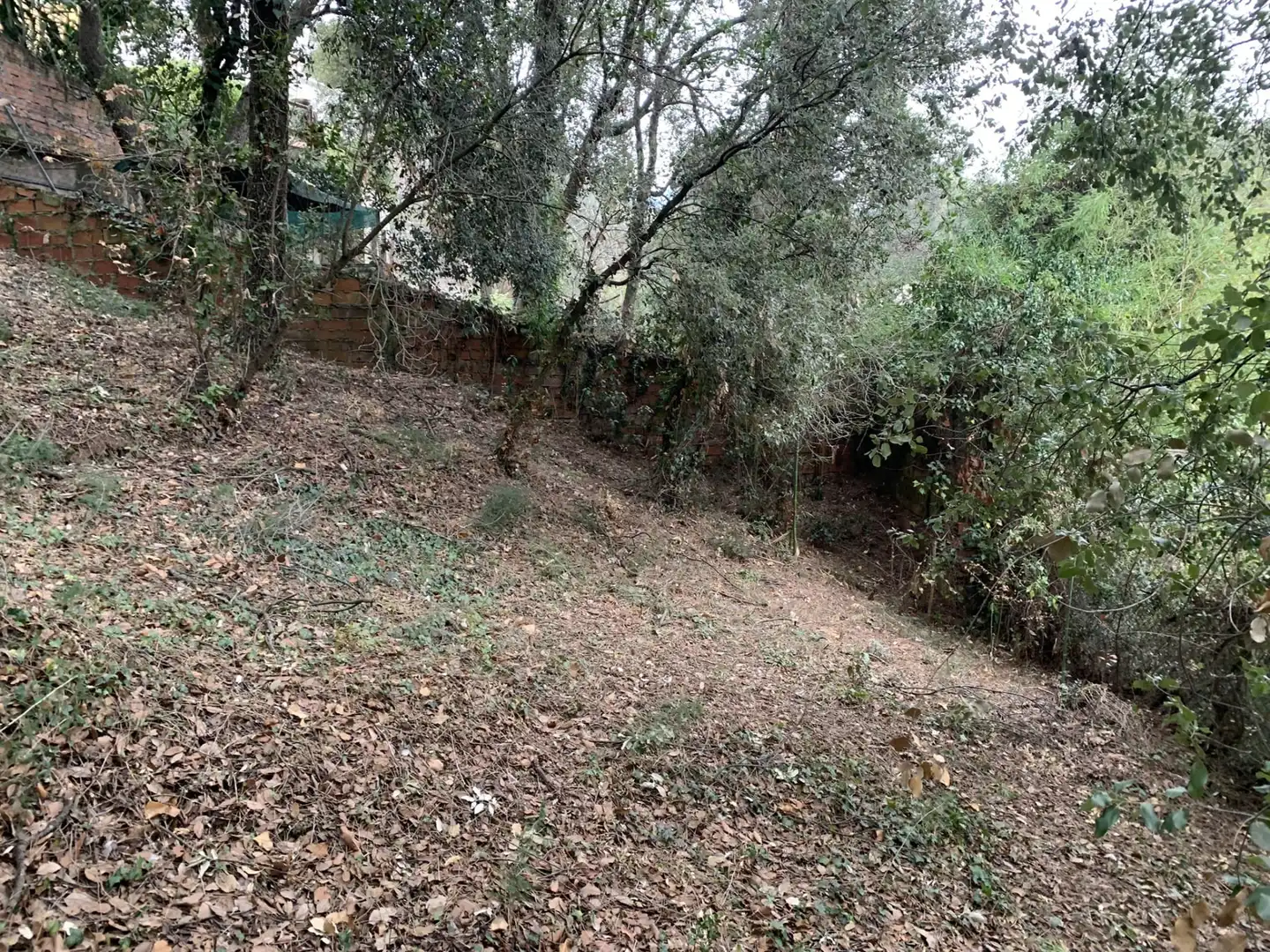 Terreno residencial en venta en Carrer Castelló 3, imagen 16