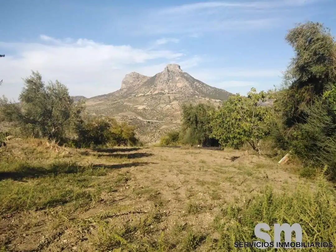 Terreno en venta en Zahara