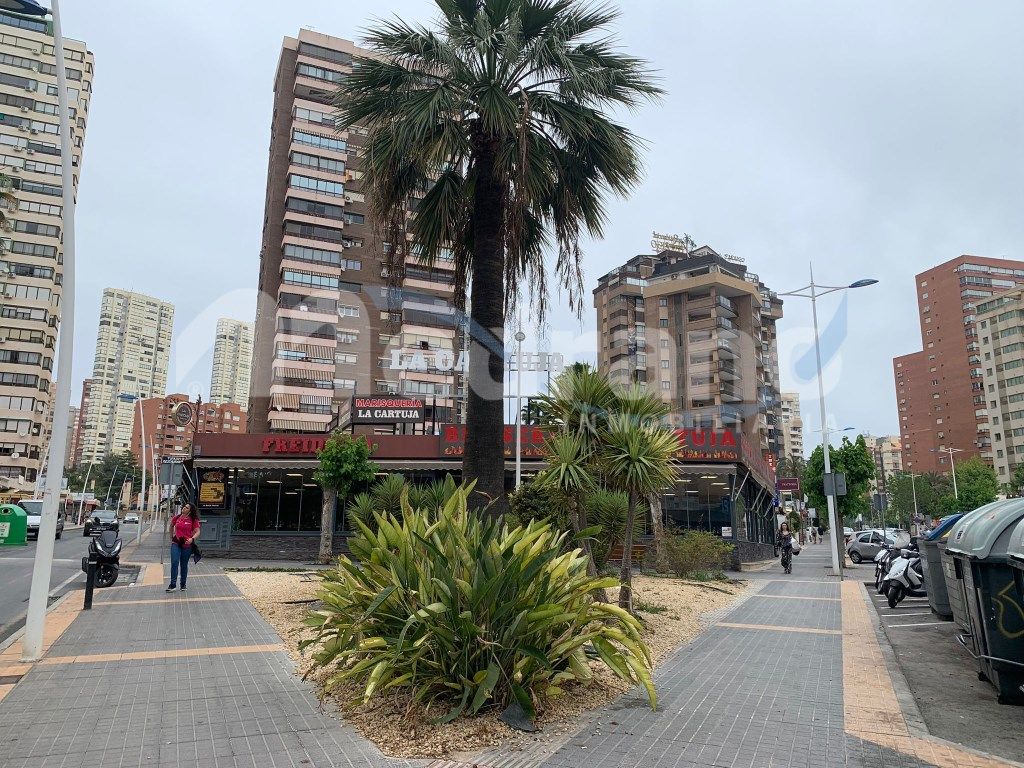 Vista exterior de Local en venta en Benidorm con Aire acondicionado
