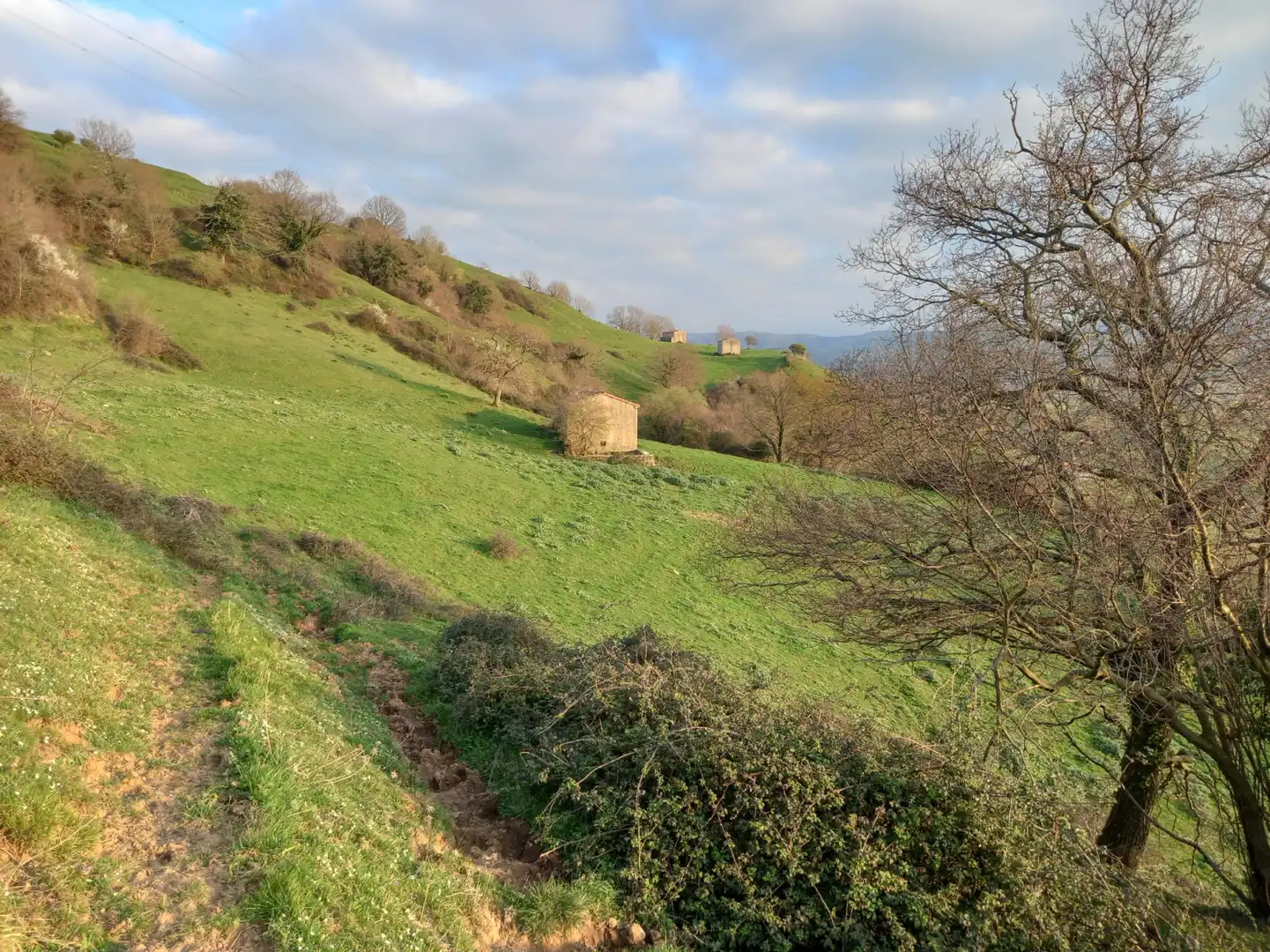 Land for sale in Villacarriedo
