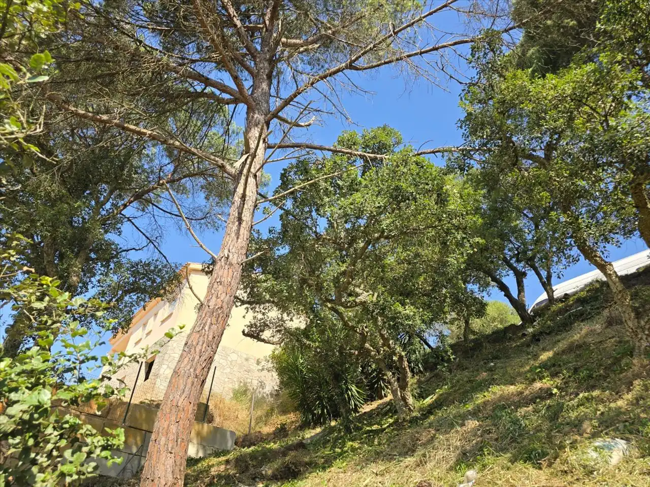 Rustikales Grundstück zum Verkauf in Avinguda de la Senyera, 4, Lloret de Mar, Spain, imagen 6