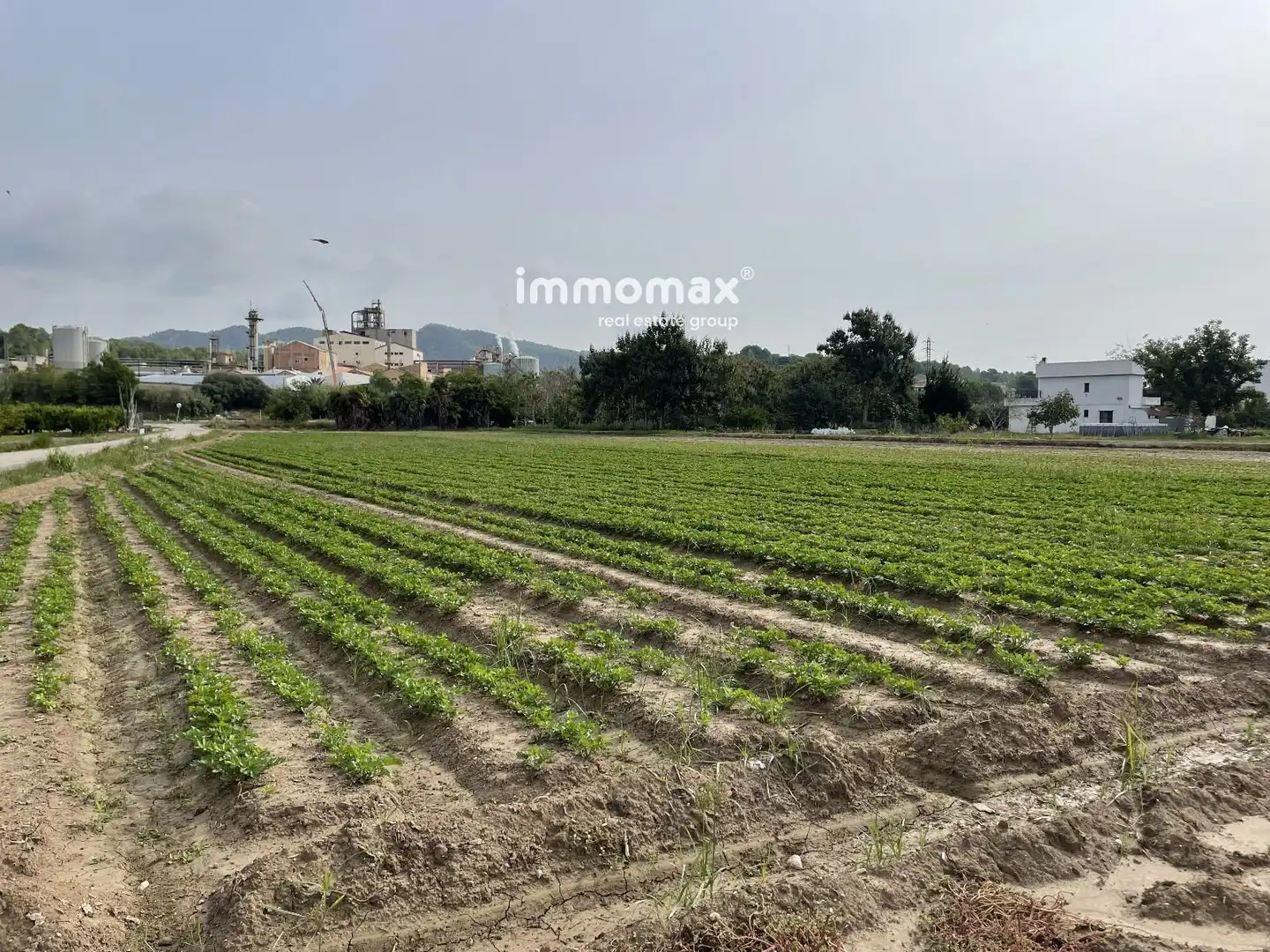 Terreno rústico en venta en 127, imagen 3