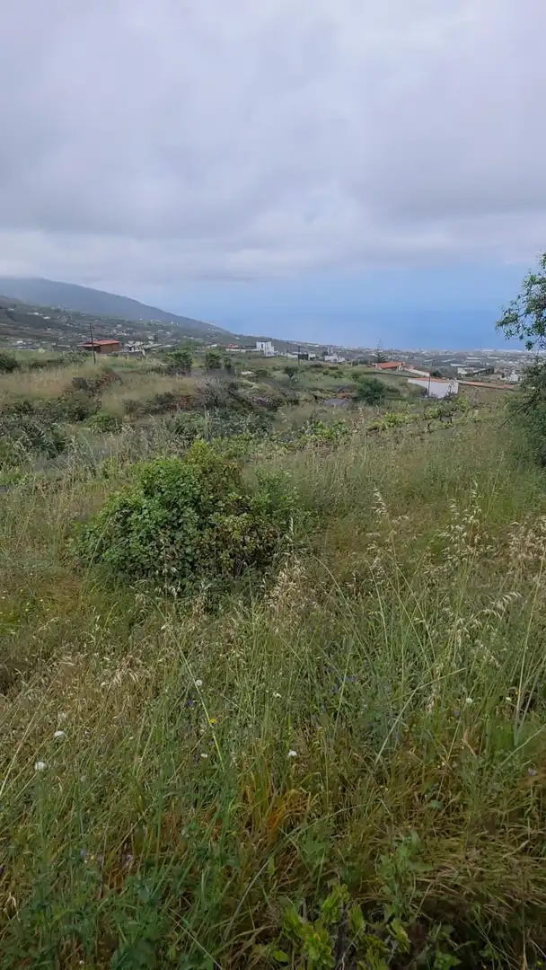 Rural land for sale in Camino Camino Morra del Estanque, imagen 4