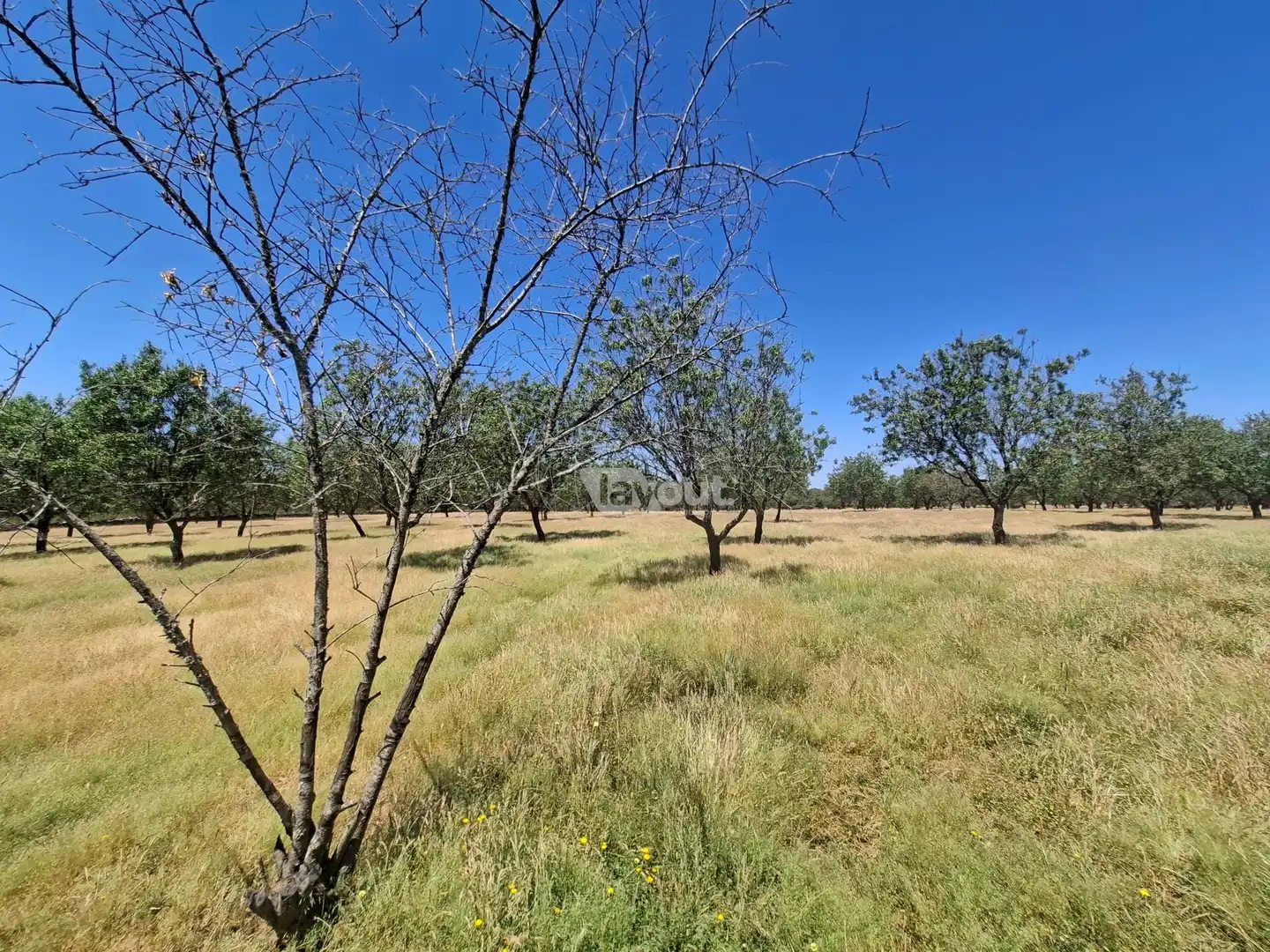 Detached homes for sale in Malpartida de Plasencia  with Swimming Pool