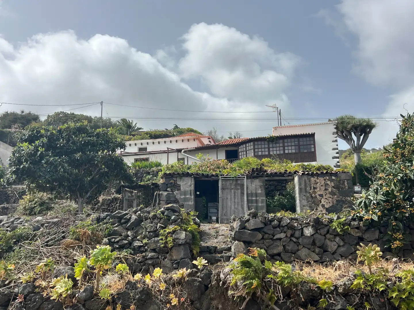 Vista exterior de Finca rústica en venda en Villa de Mazo amb Jardí privat, Traster i Moblat