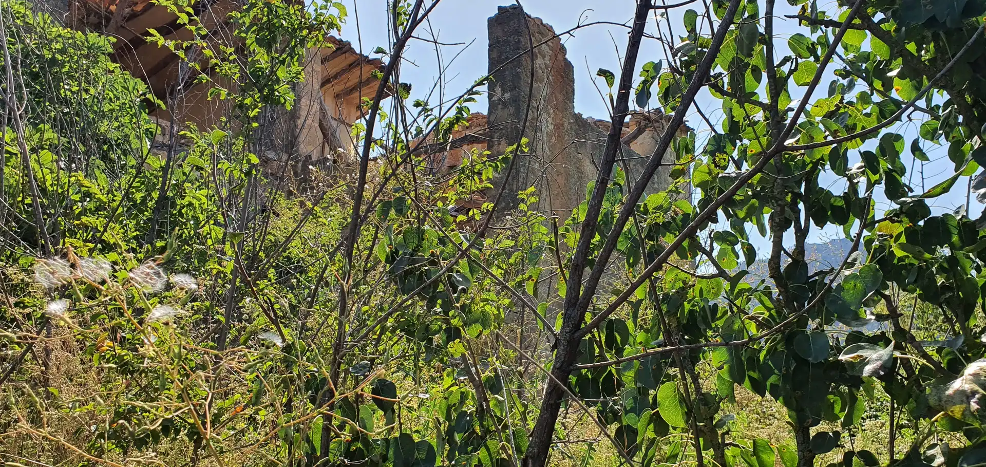 Jardí de Casa o xalet en venda en Horta de Sant Joan