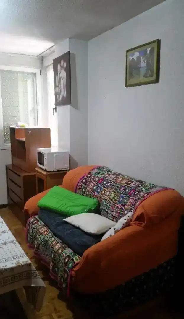 Sala d'estar de Estudi de lloguer en Madrid amb Parquet, Rentadora i Microones