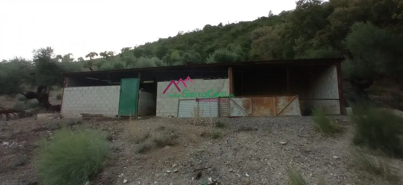 Terreni e lotti in vendita a Benaocaz, imagen 53