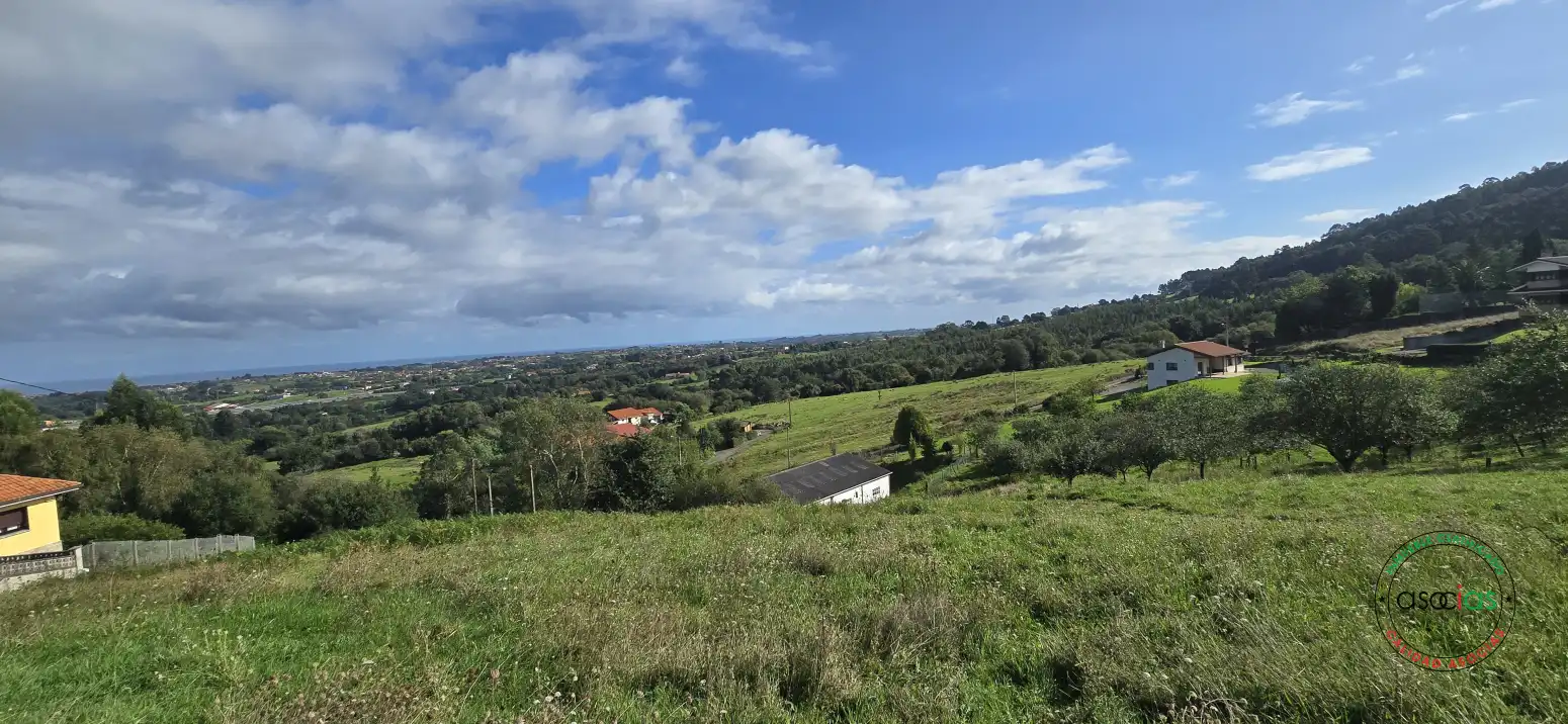 Terreny residencial en venda a Peón - Coto de la Castañera, Curviellu S/N, imagen 19