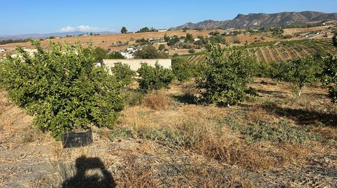 Foto 2 de Terreno en venta en Casalpalma - Fahala, Cártama