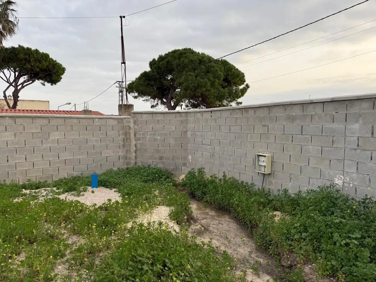 Rustikales Grundstück zum Verkauf in Las Lagunas - Campano, imagen 3