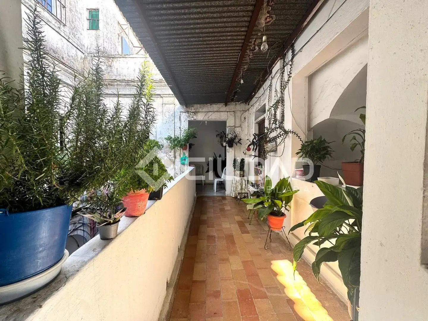 Terrassa de Casa o xalet en venda en Sanlúcar de Barrameda amb Balcó