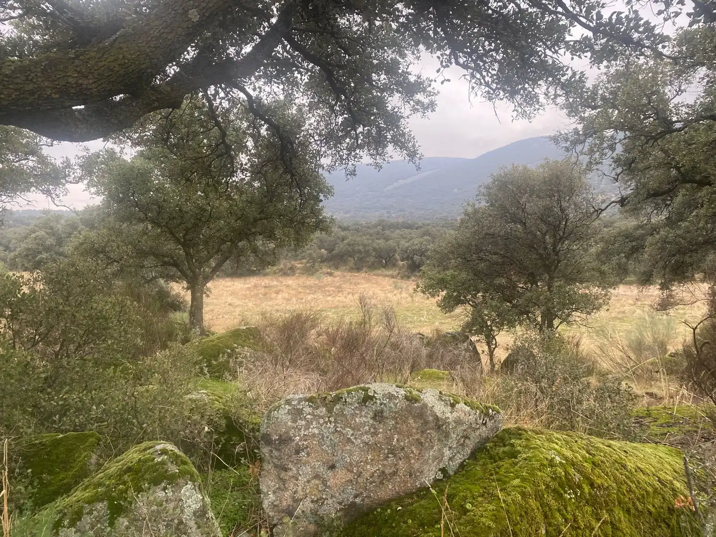 Terreni e lotti in vendita a La Estrella, imagen 22