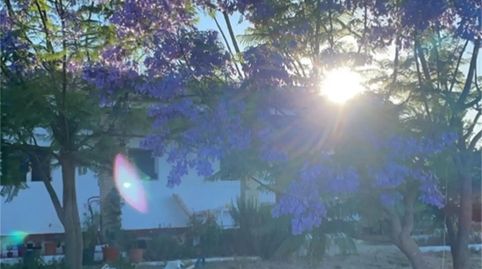 Foto 5 de Finca rústica en venda a Ronda de Los Legionarios, La Palma del Condado, Huelva